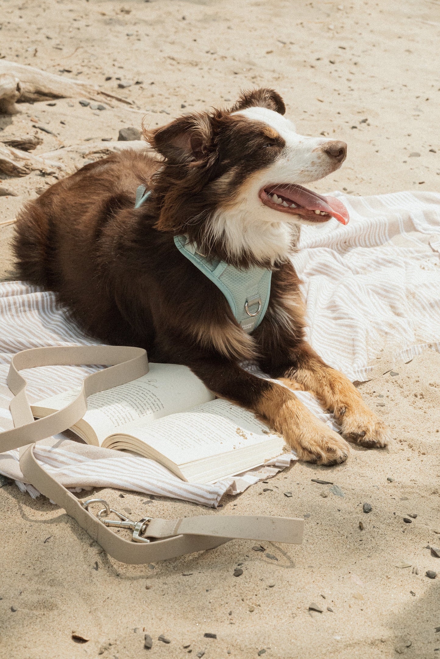 Classic 2.0 Harness Breeze