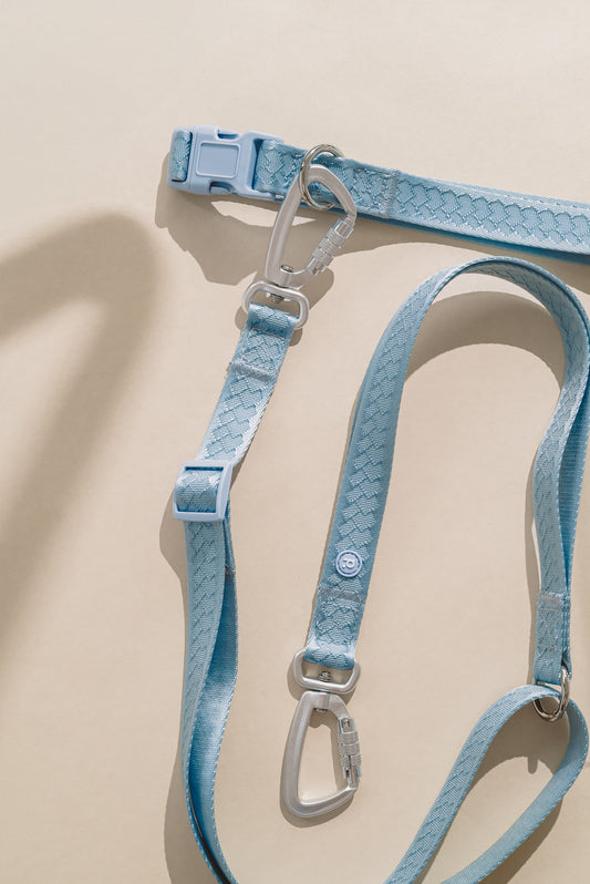 Daily Hands-Free Leash - Cloud