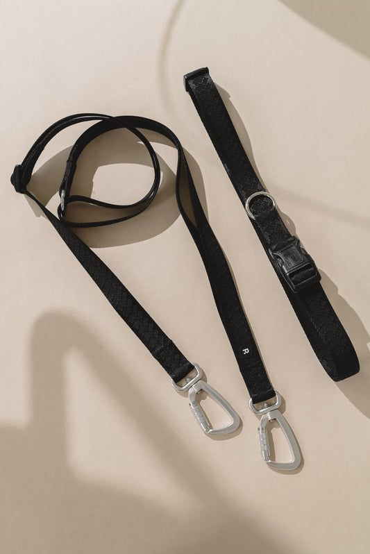 Daily Hands-Free Leash - Black