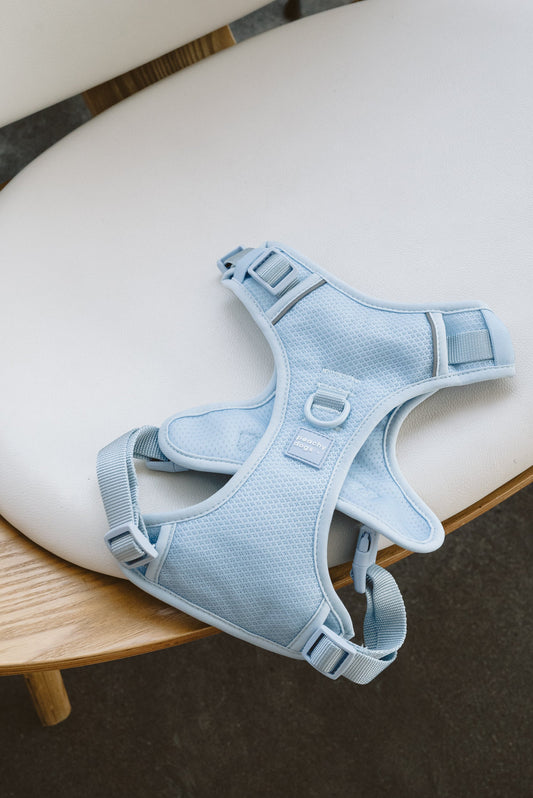 Classic 2.0 Harness Cloud