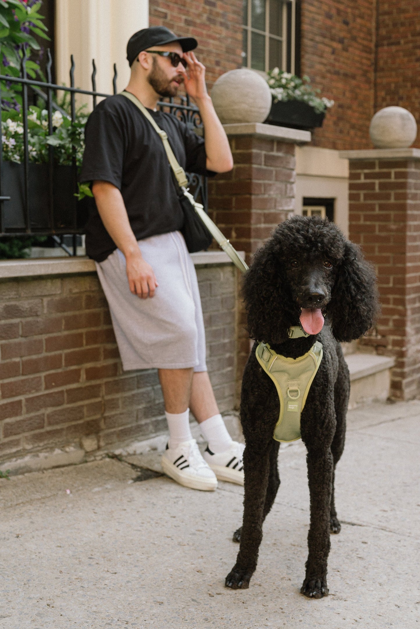 Daily Hands-Free Leash - Matcha
