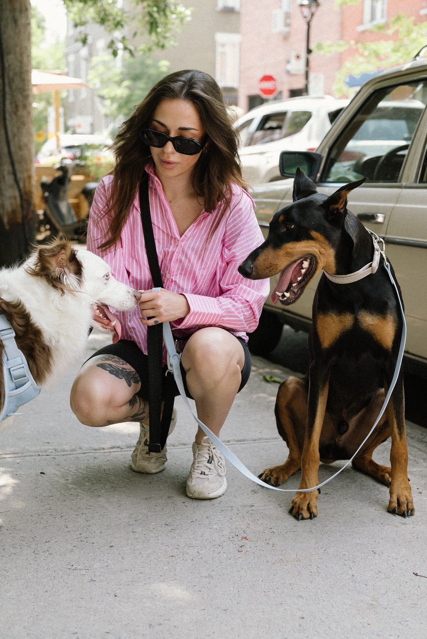 Daily Hands-Free Leash - Black