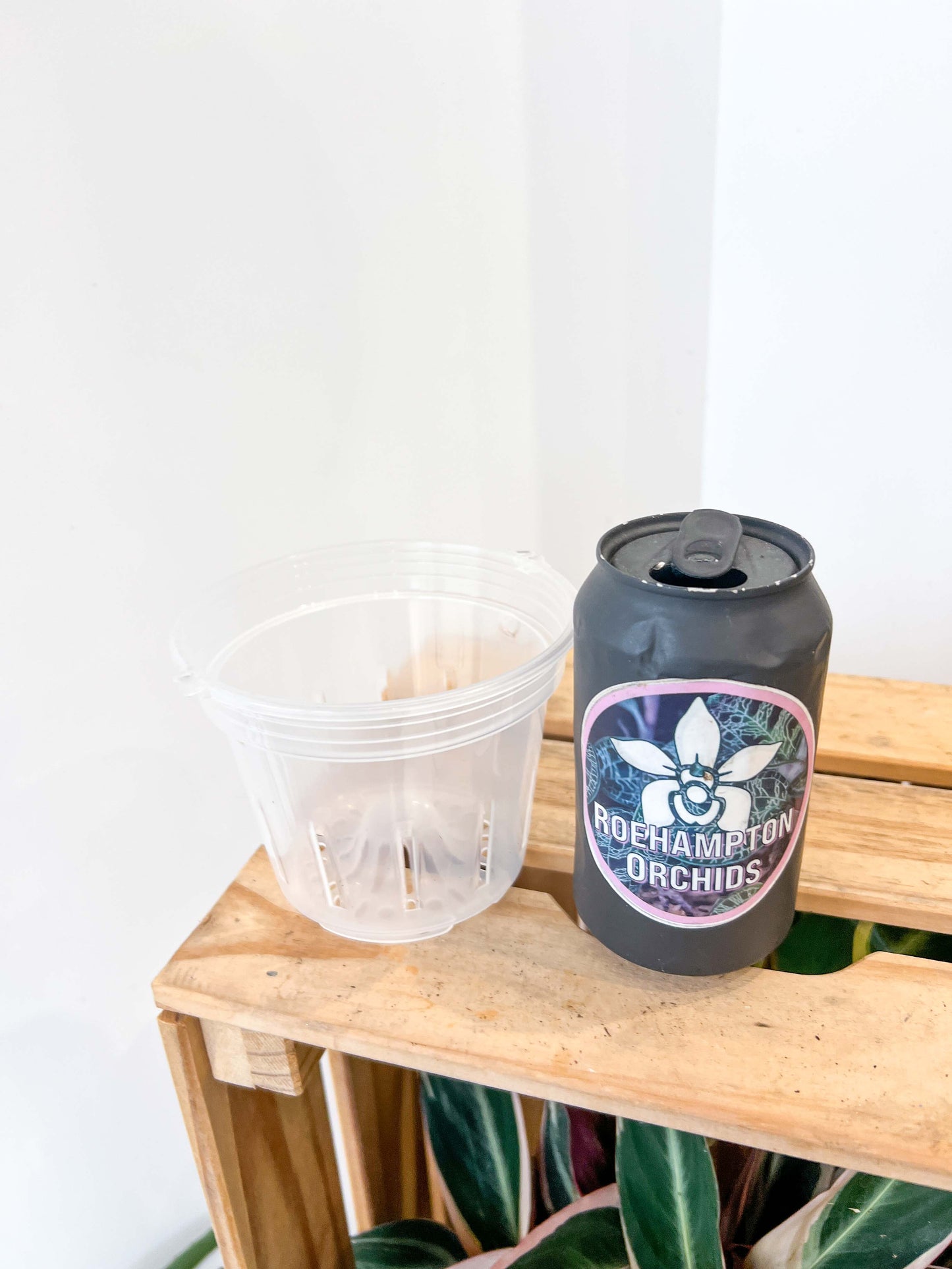 Hangable transparent slotted basket pot