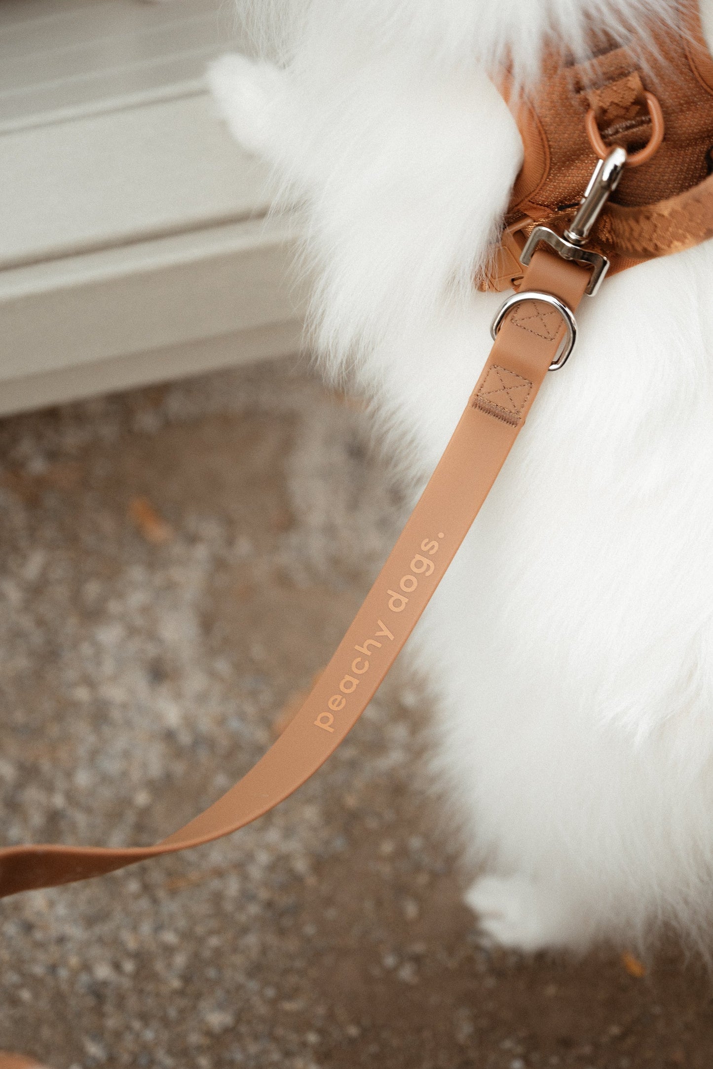 On-the-go Leash in Dulce