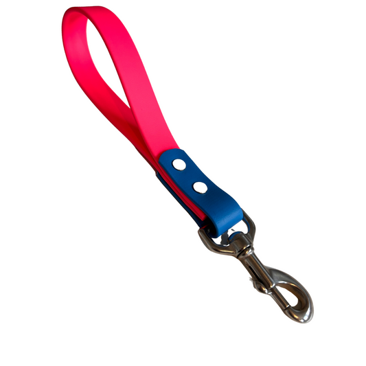 Promo poigné de rapprochement en Biothane – Élégance, Résistance et Confort pour Chien