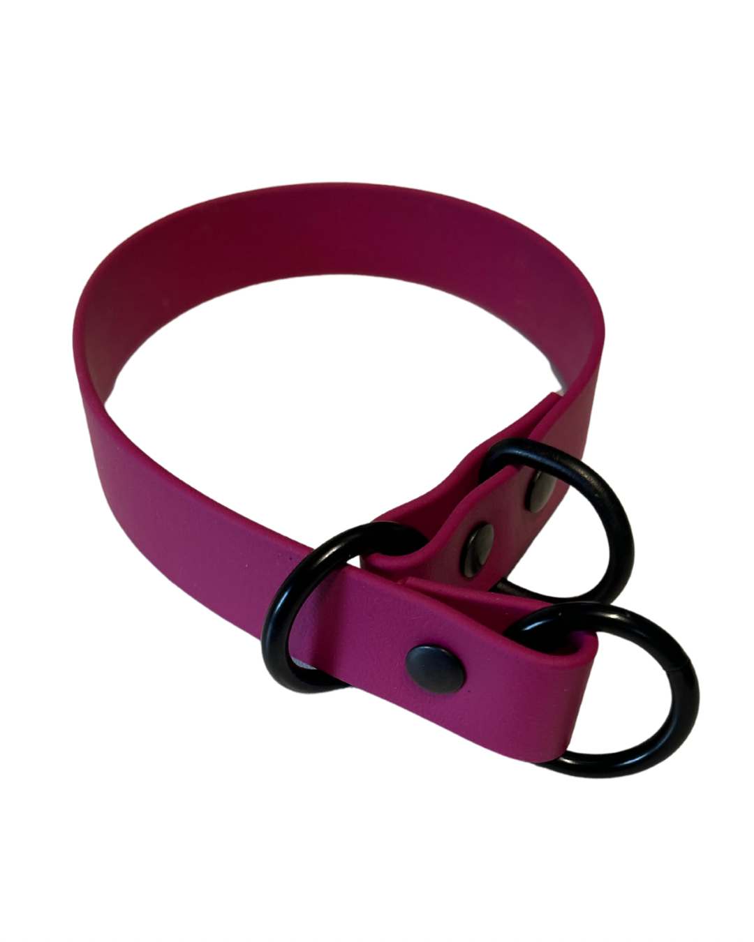 Collier Slip en Biothane pour chien - Fait Main au Québec