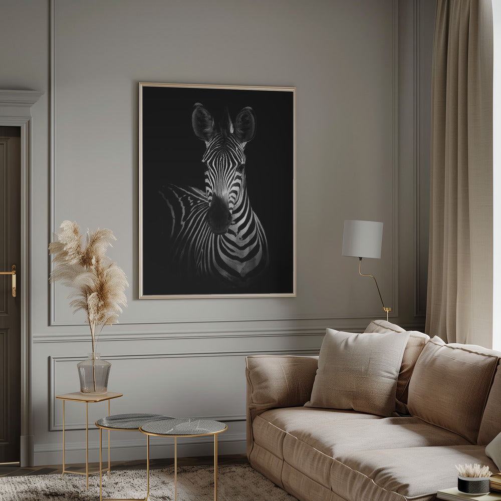 Wall Art The Zebra