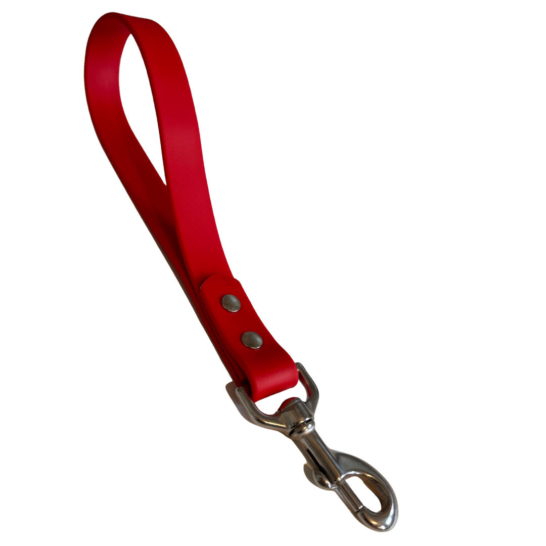 Promo poigné de rapprochement en Biothane – Élégance, Résistance et Confort pour Chien