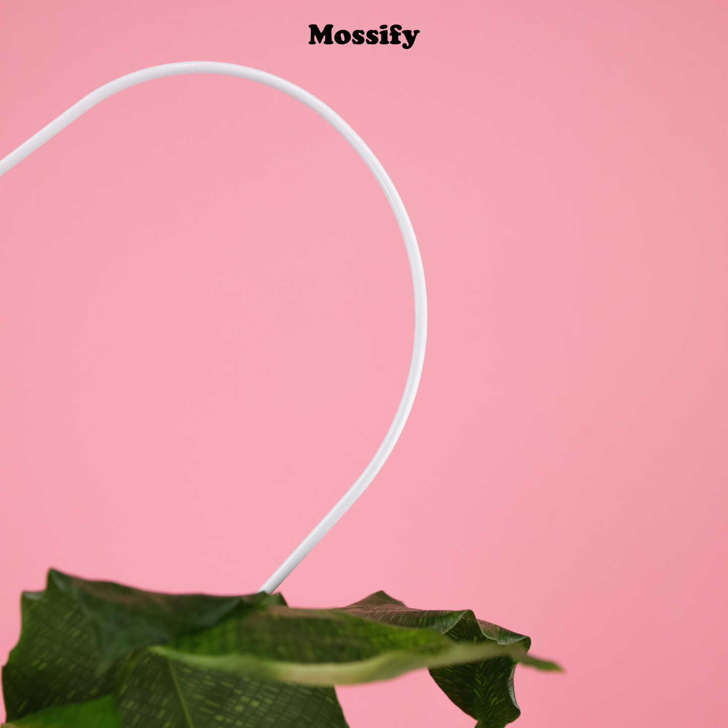 Heart "Give Love" Metal Trellis