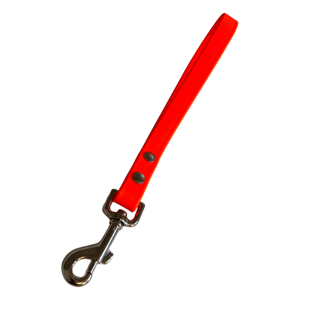 Promo poigné de rapprochement en Biothane – Élégance, Résistance et Confort pour Chien