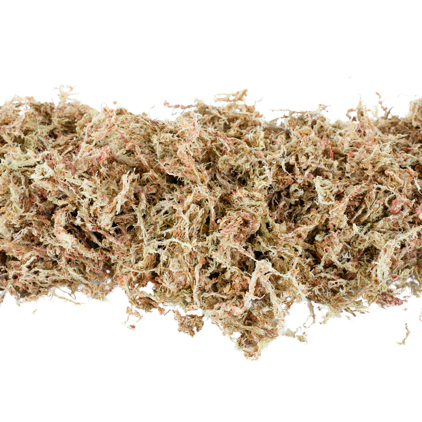 Premium Sphagnum Moss