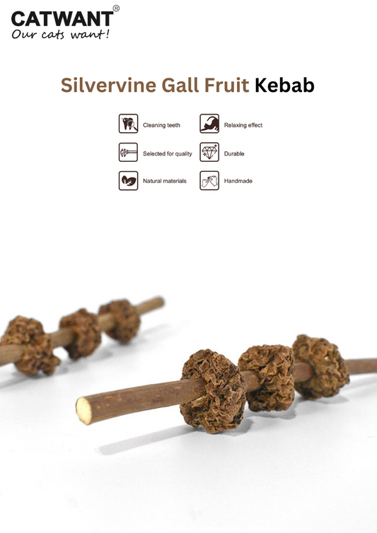 Silvervine  Gall Fruit Kebab