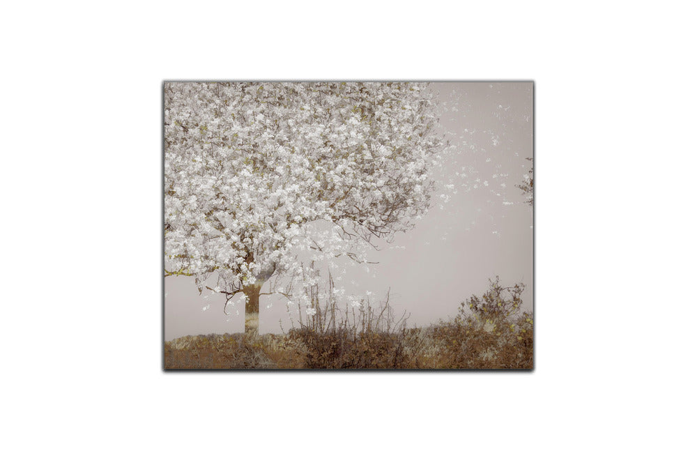 Metal Print Fruit tree