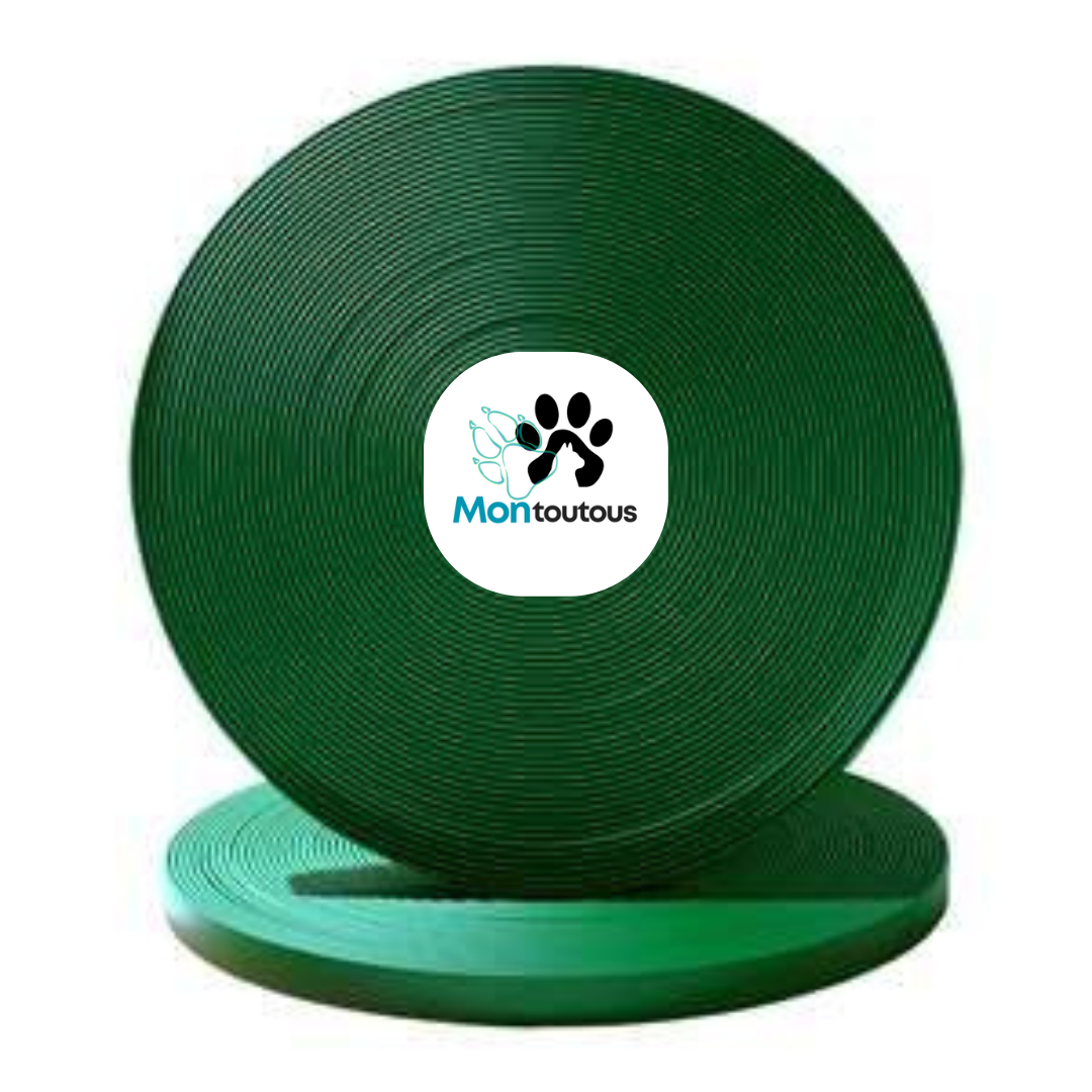 Collier en Biothane pour chat - fait main au Québec