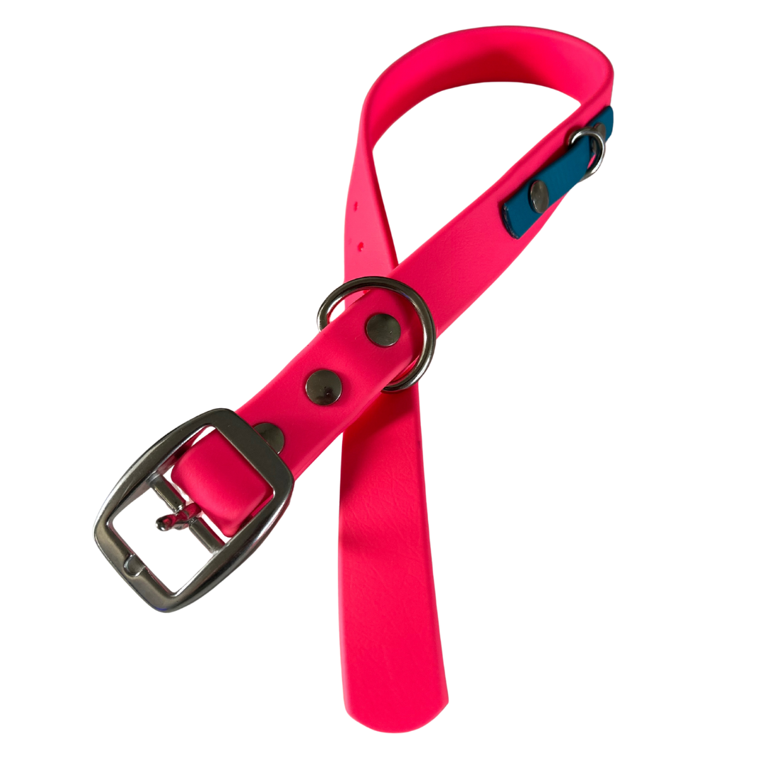 Promo Spéciale sur le Collier standard 1" en Biothane pour Chien – Fait Main au Québec