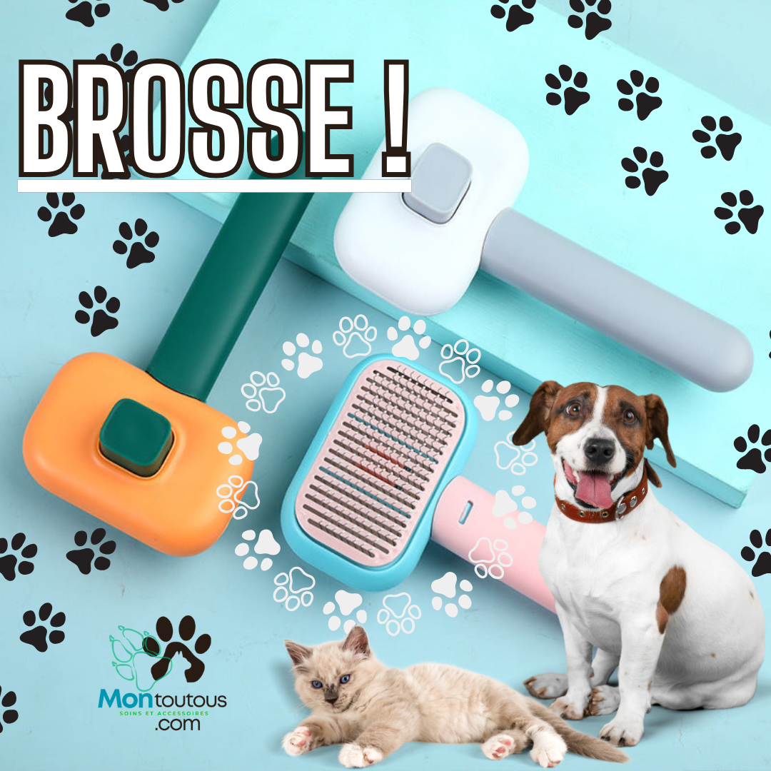 Brosse de toilettage orange et verte – Liquidation finale