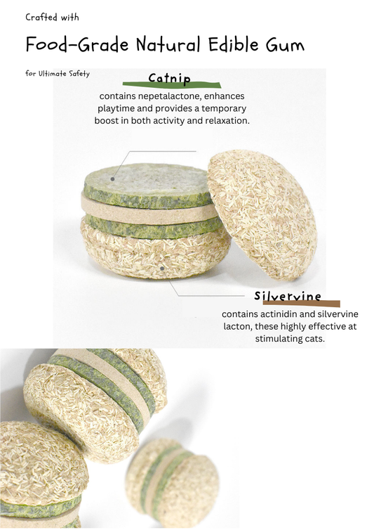 Silvervine Hamburger