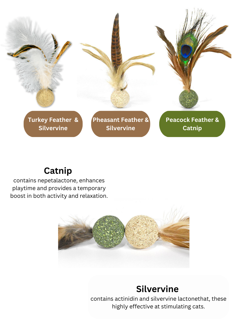 Silvervine / Catnip Birdie