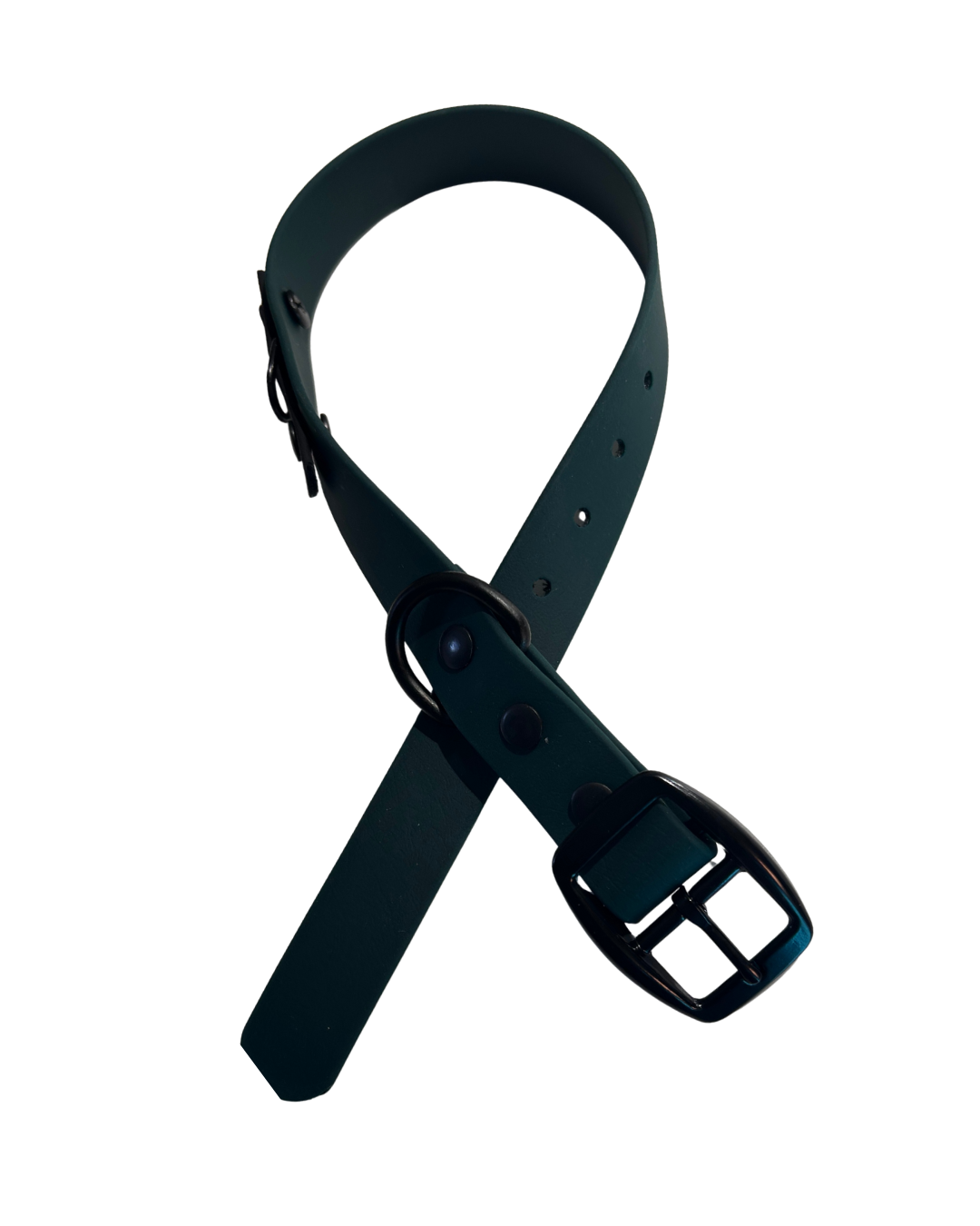 Collier en Biothane pour chien- Fait Main au Québec