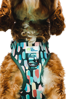 Adjustable Dog Harness Amazônia Tribe | Lila Pawtique