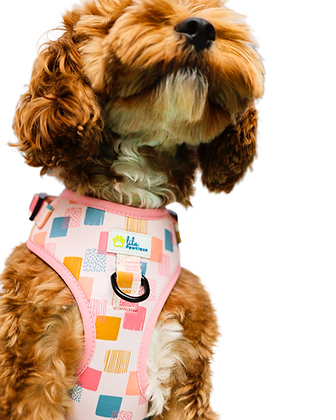 Dog Adjustable Harness Vik Fiesta | Lila Pawtique