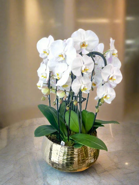 Golden Lucky Arrangement