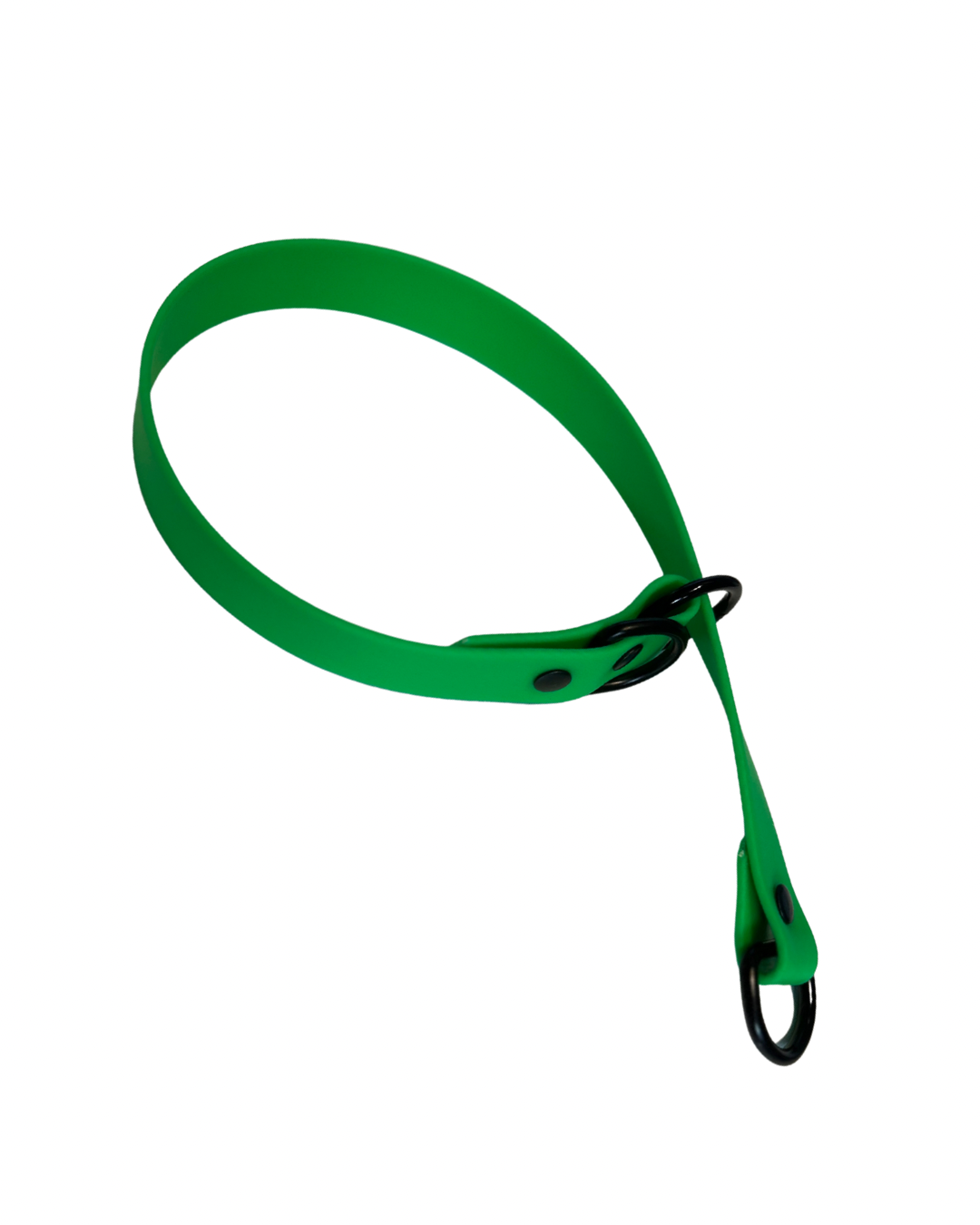 Collier Slip en Biothane pour chien - Fait Main au Québec