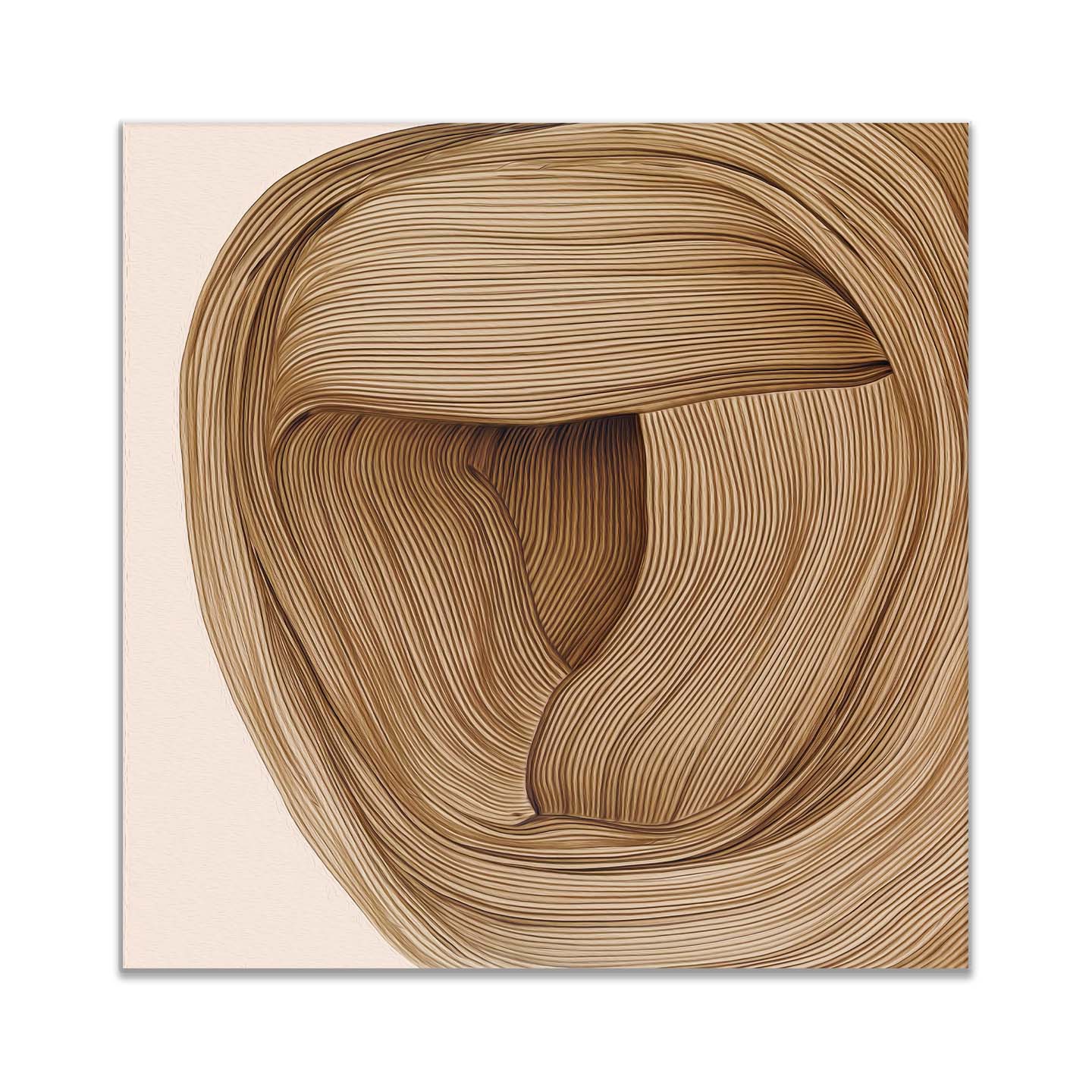 Wall Art 36" x 36 Line Drawing Fine Art Canvas