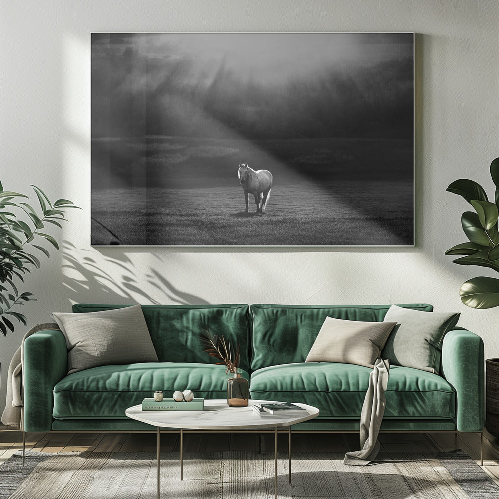 Wall art morning appearance. Hourses