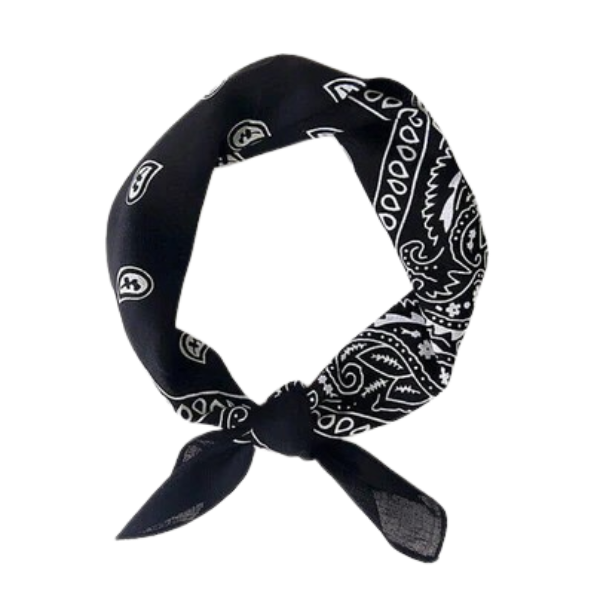 Europe Bound Bandanas 5 pack