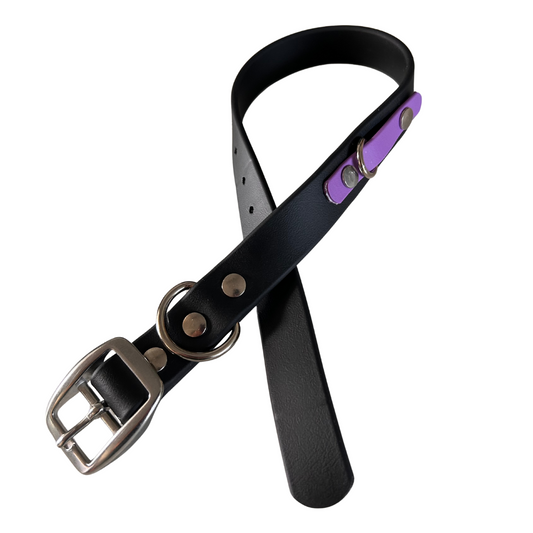 Promo Spéciale sur le Collier standard 1" en Biothane pour Chien – Fait Main au Québec