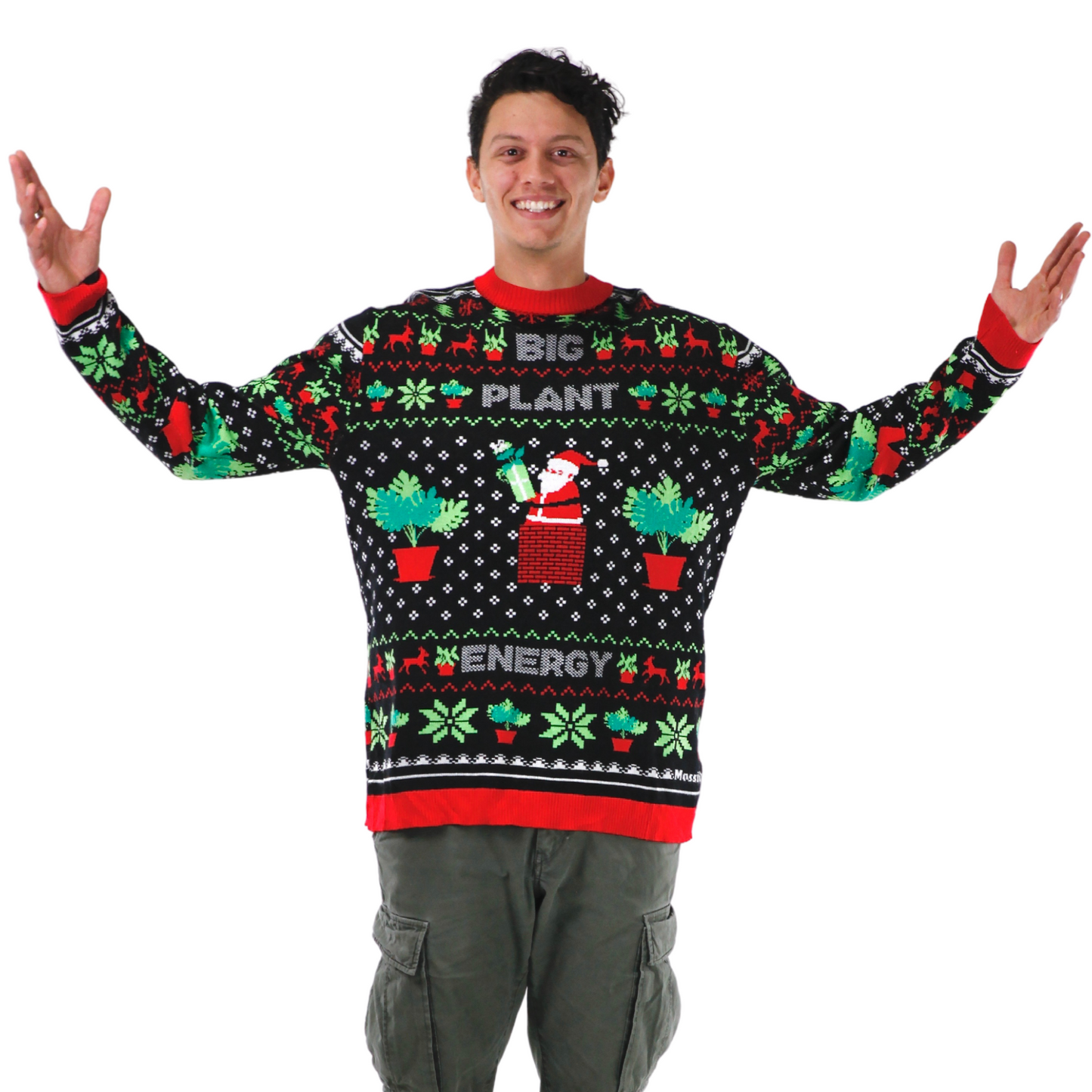 BIG PLANT ENERGY - Ugly Plantmas Sweater
