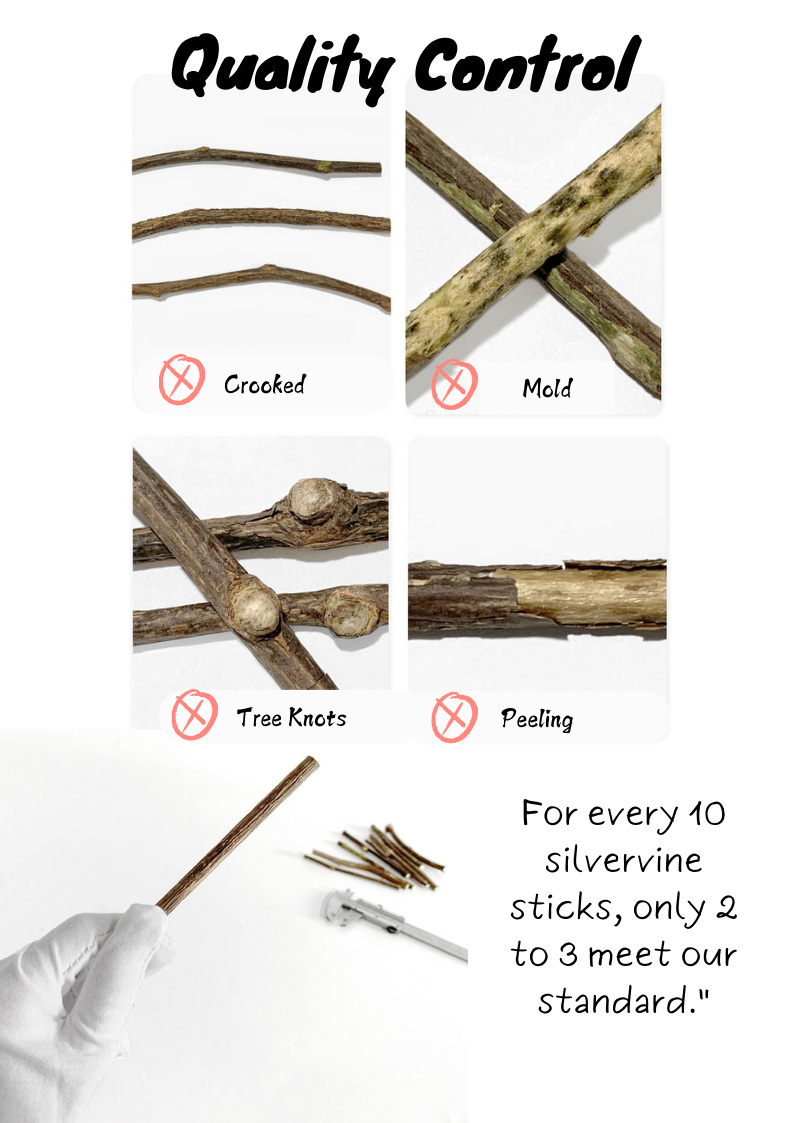 Silvervine Sticks