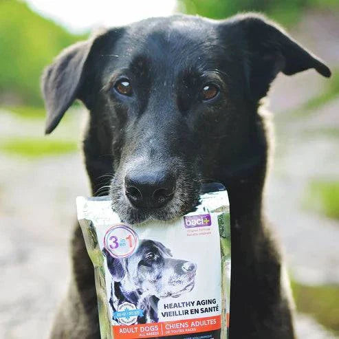 3en1 – Soutien Articulaire, Digestif & Cardiaque pour Chiens Seniors