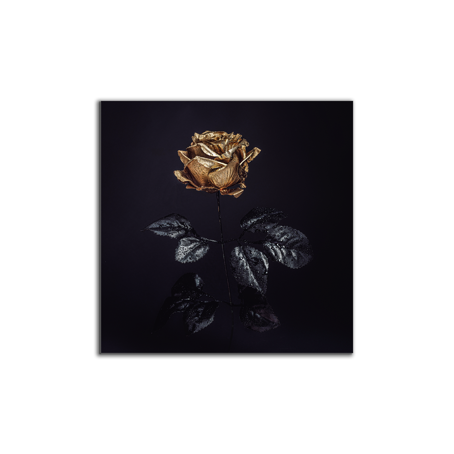 Wall Art-Gold Rose -Canvas Print