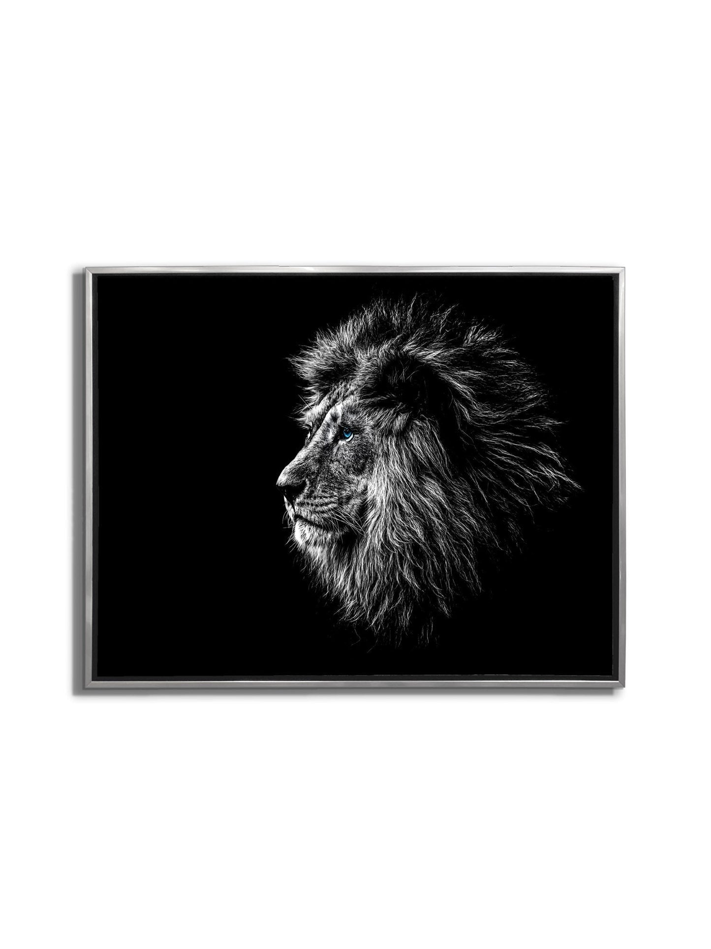 Wildlife Canvas Art-Lions Head Blue Eye in Black and White -Silver varnish