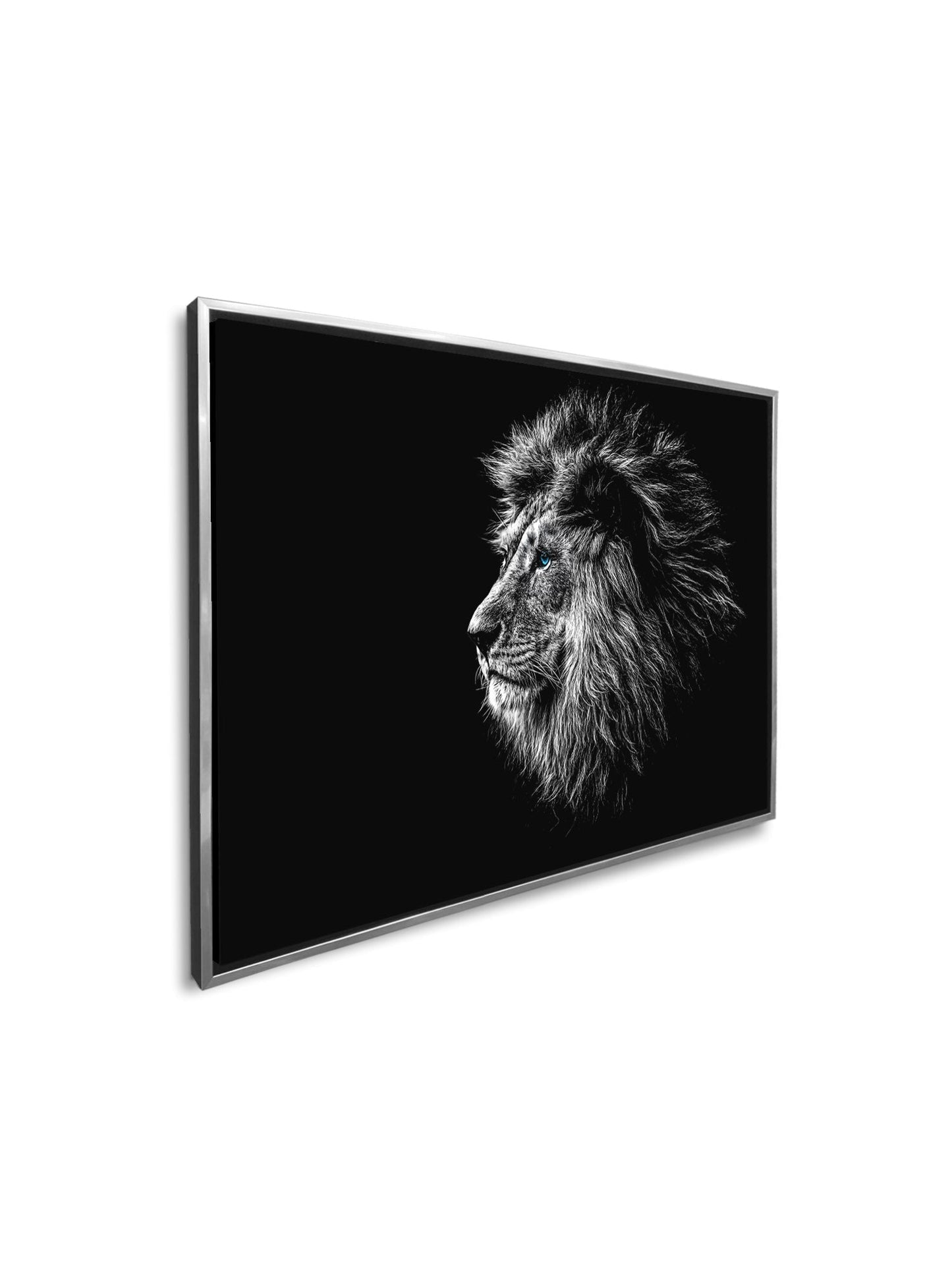 Wildlife Canvas Art-Lions Head Blue Eye in Black and White -Silver varnish
