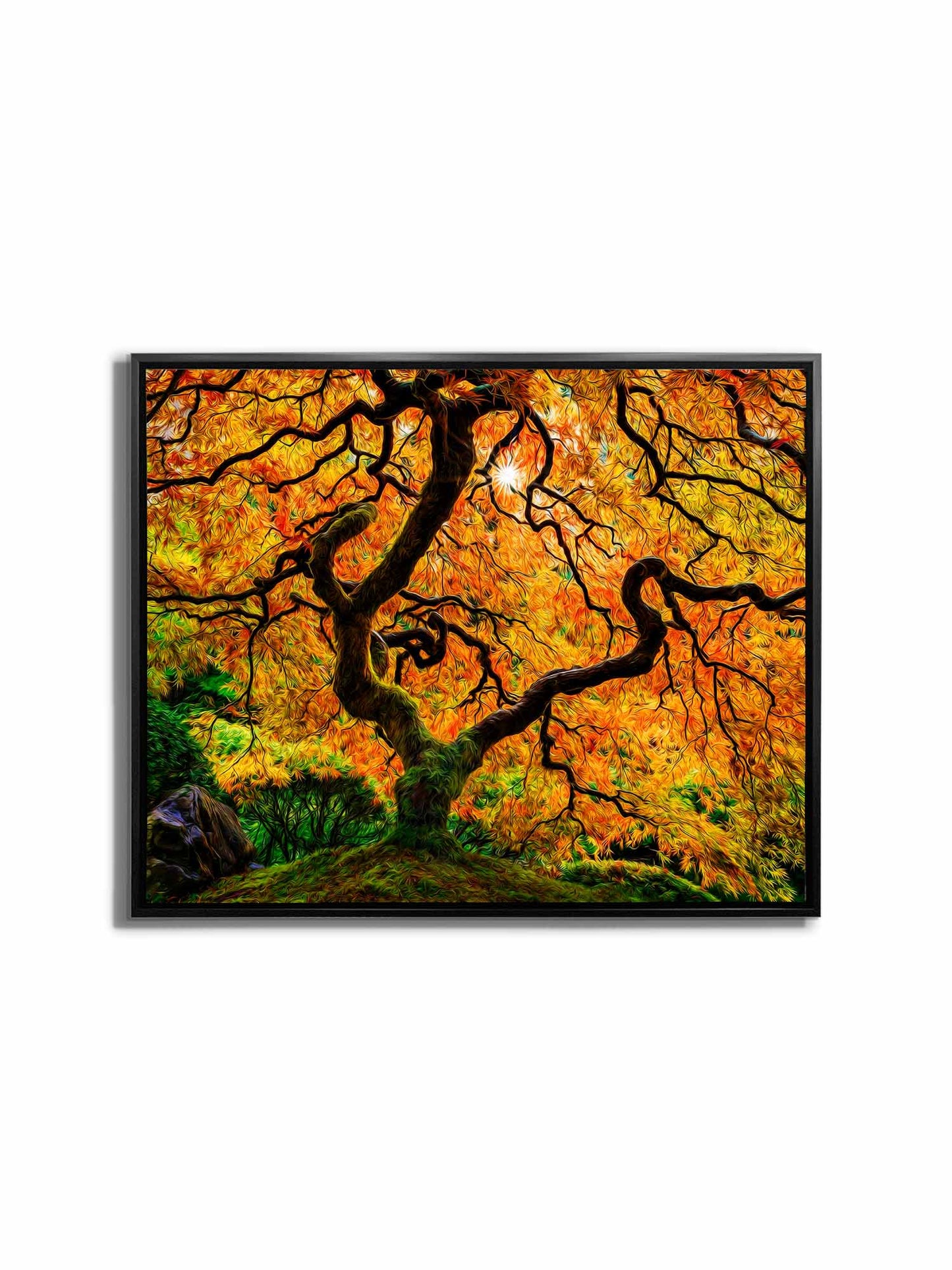 Canvas Print-Orange Tree-Nature Artwork