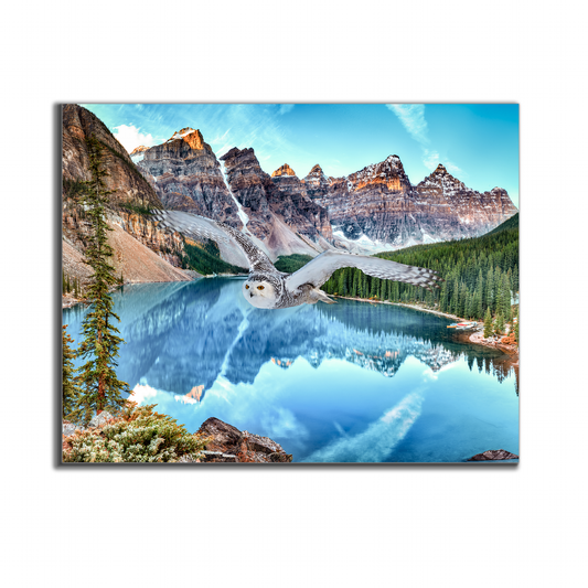 Canvas Wildlife Art-Snowy Owl at Banff-Printed Artwork