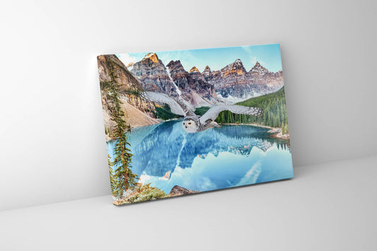 Canvas Wildlife Art-Snowy Owl at Banff-Printed Artwork