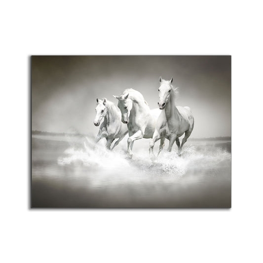 Wall Art Black and White Stallions - Animal Print Canvas