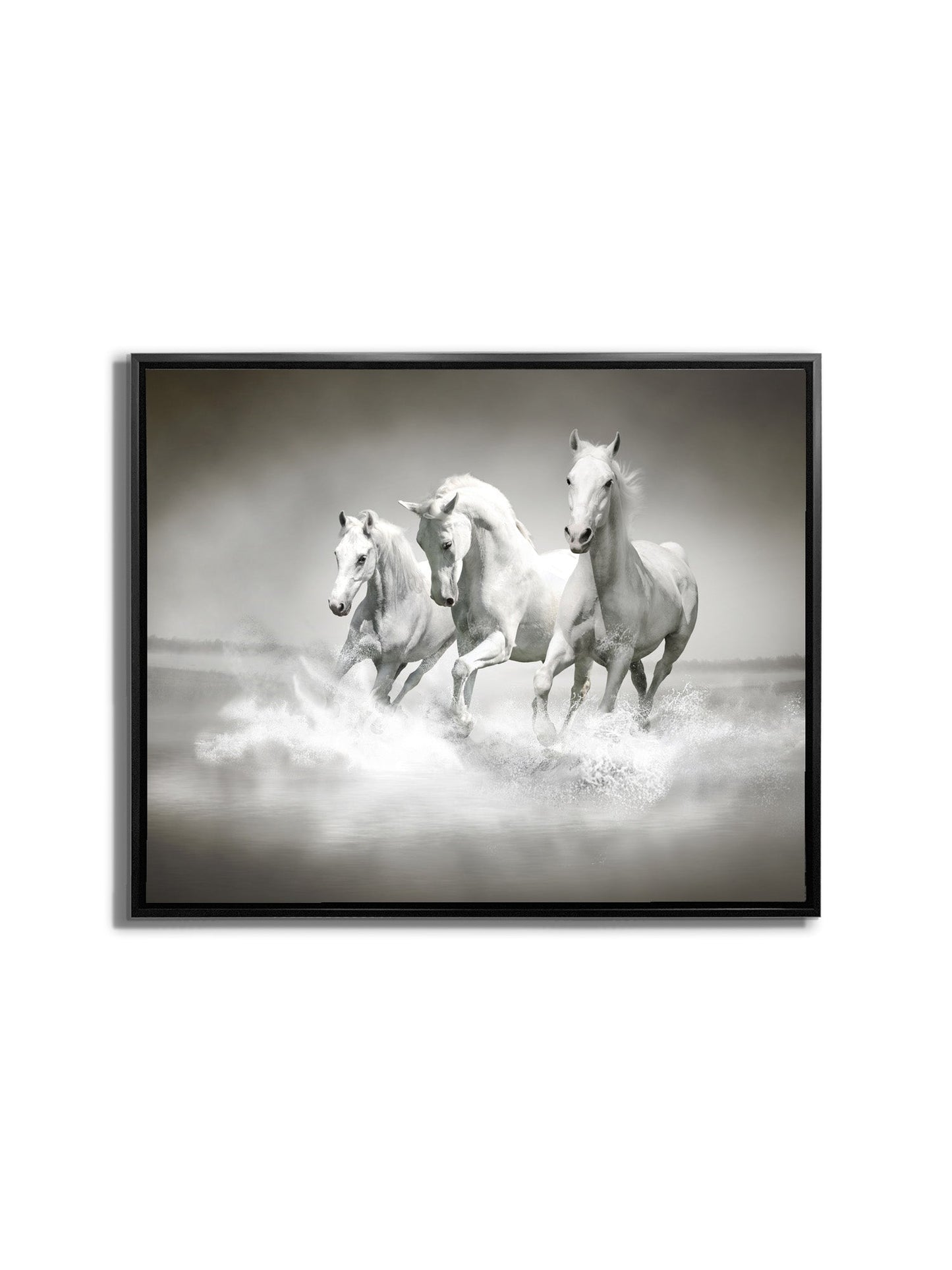 Wall Art Black and White Stallions - Animal Print Canvas