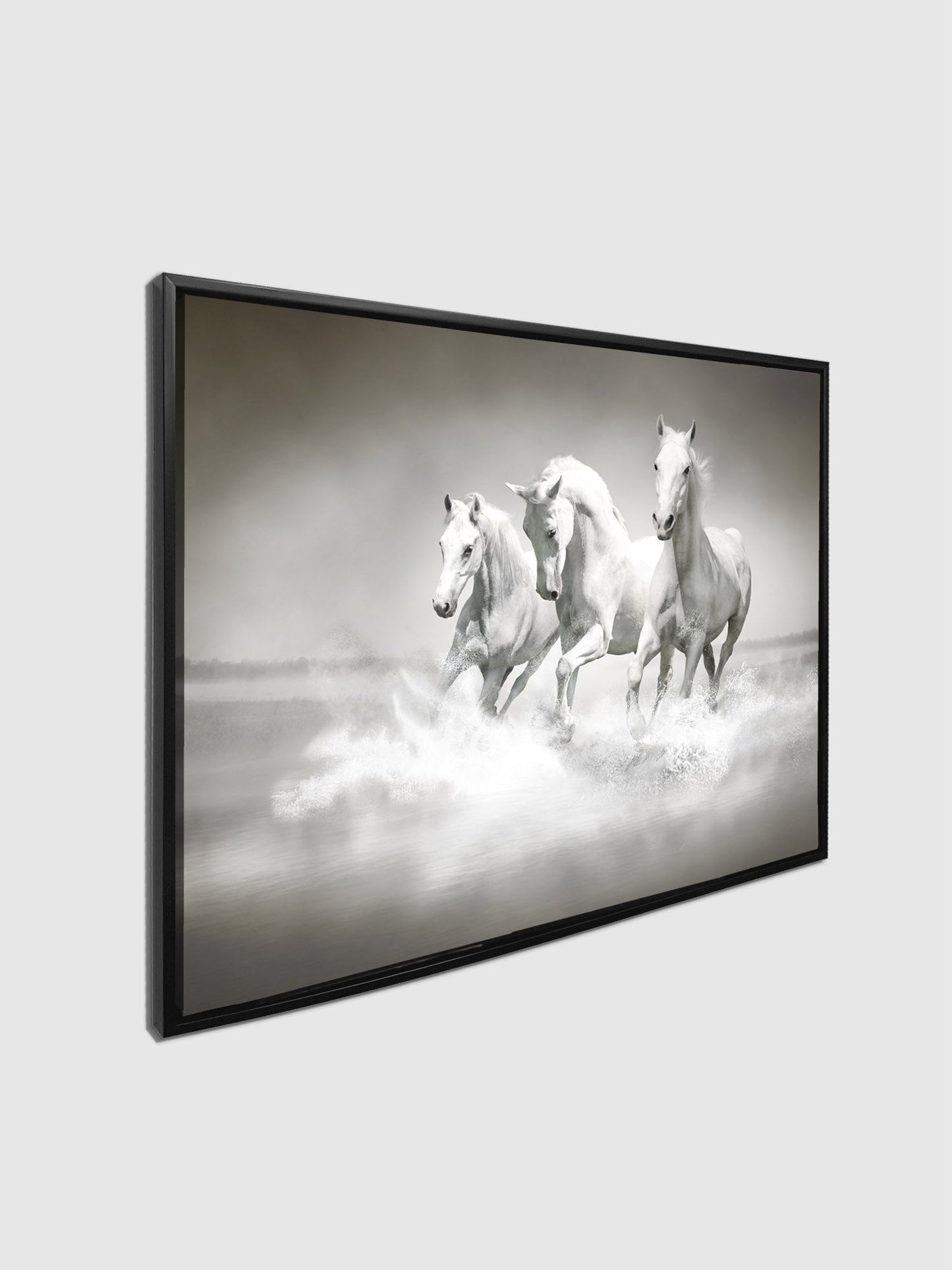 Wall Art Black and White Stallions - Animal Print Canvas