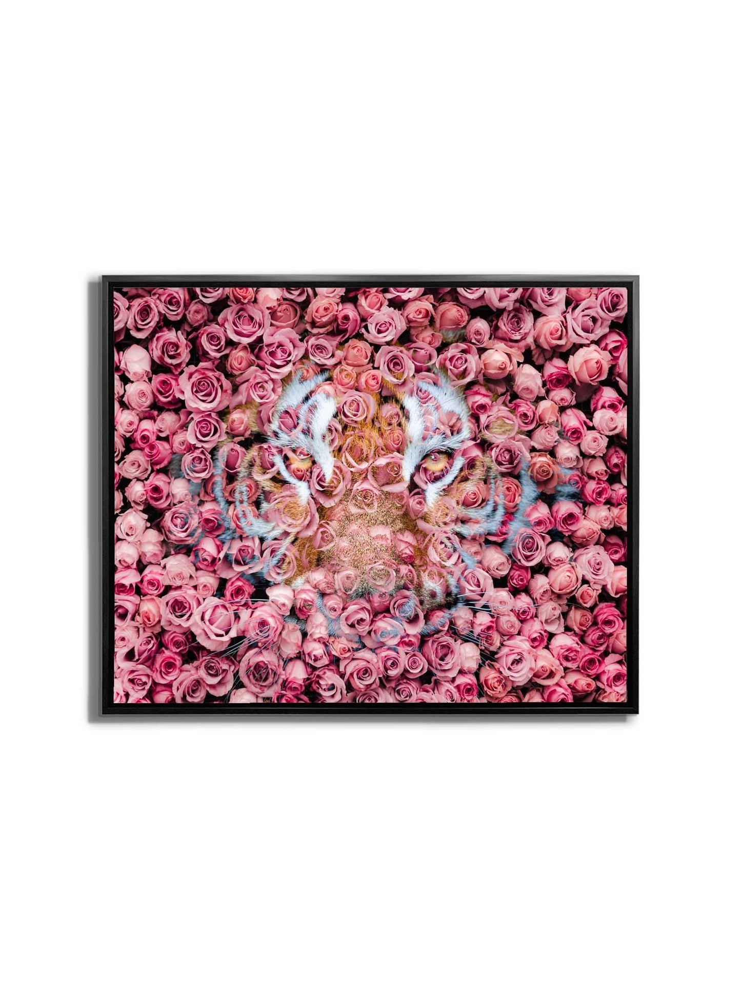 Tiger in the Rose-Wildlife Canvas Prints- Animal Art- Gold varnish