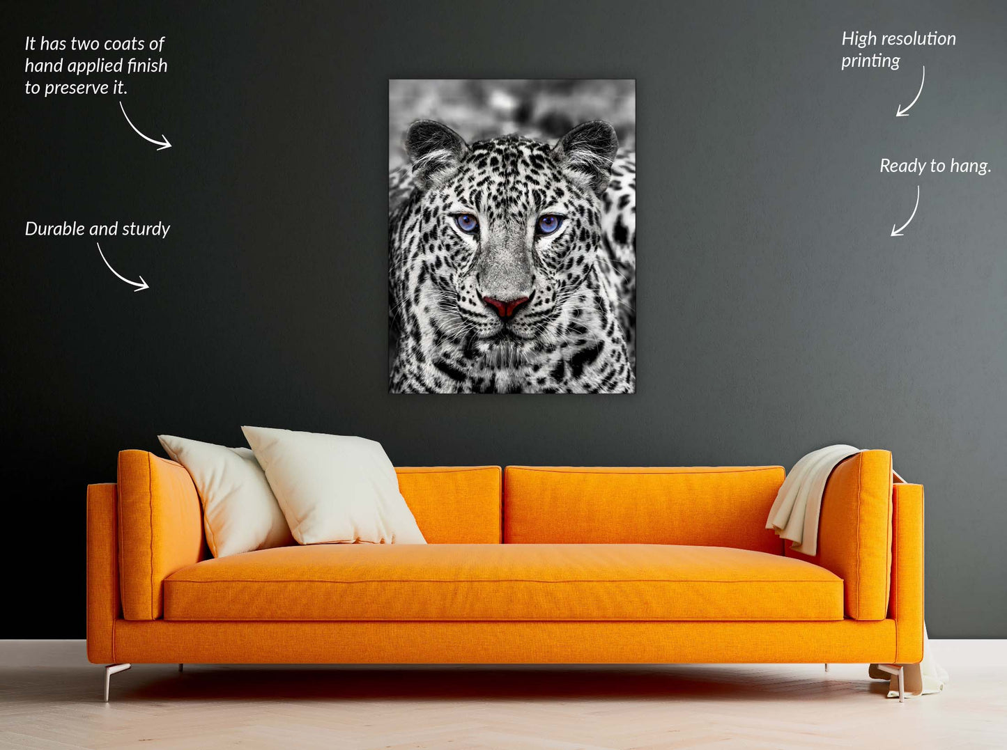 Wall Art-Blue Eyed White Tiger- Wildlife decor
