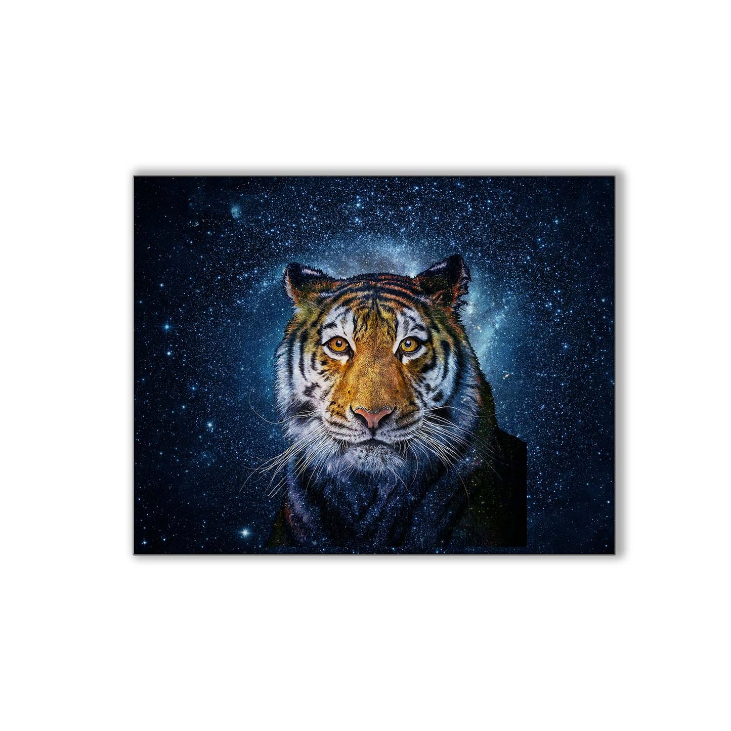 Wall Art Tiger Head with Celestial Background 48X36