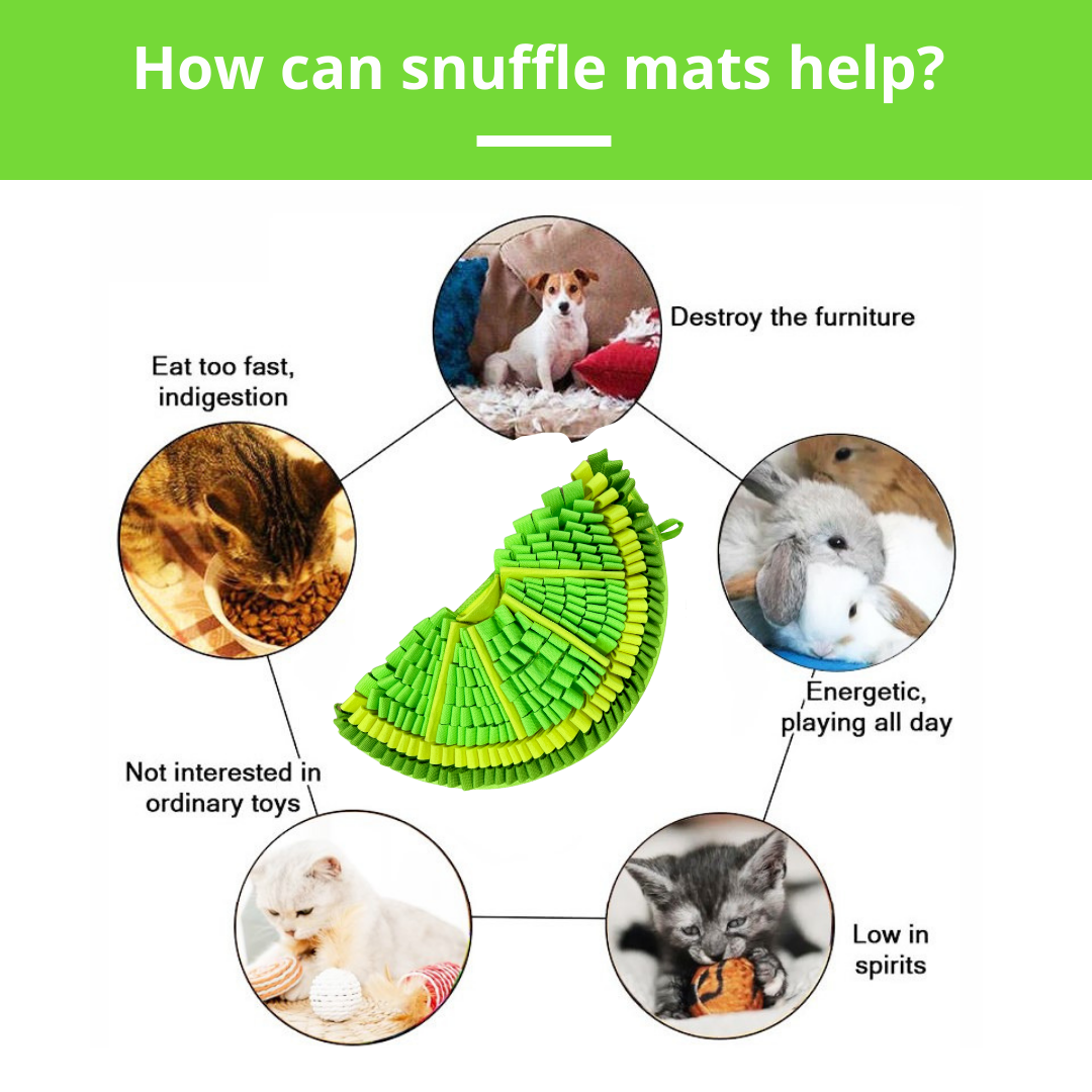 Zesty Lime™ Snuffle Mat