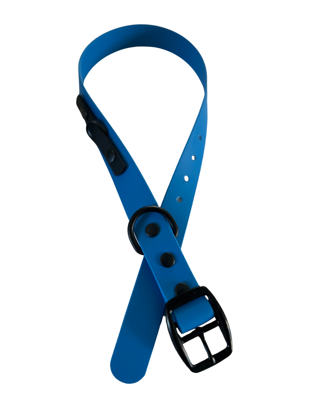 Collier en Biothane pour chien- Fait Main au Québec