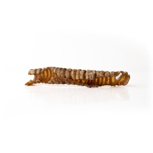 5-7" Lamb Trachea