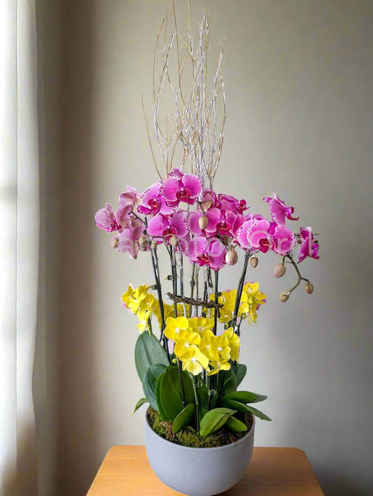 Elegant Classic 3:3 Arrangement